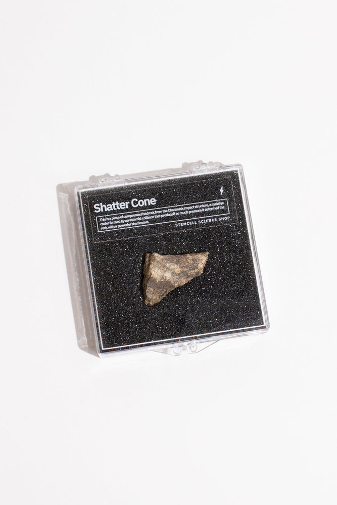 Shatter Cone (ONLINE ORDER ONLY)