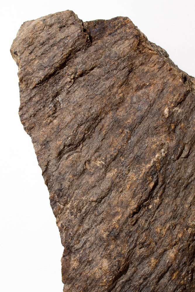 Shatter Cone (ONLINE ORDER ONLY)