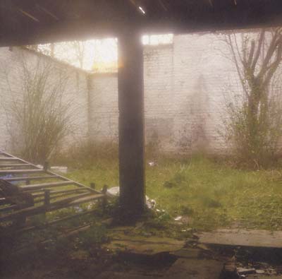 SHKVAL - Slow Death Process [Vinyl] (ONLINE ORDER ONLY)