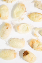 Silkworm Cocoons (ONLINE ORDER ONLY)