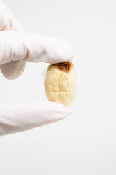 Silkworm Cocoons (ONLINE ORDER ONLY)