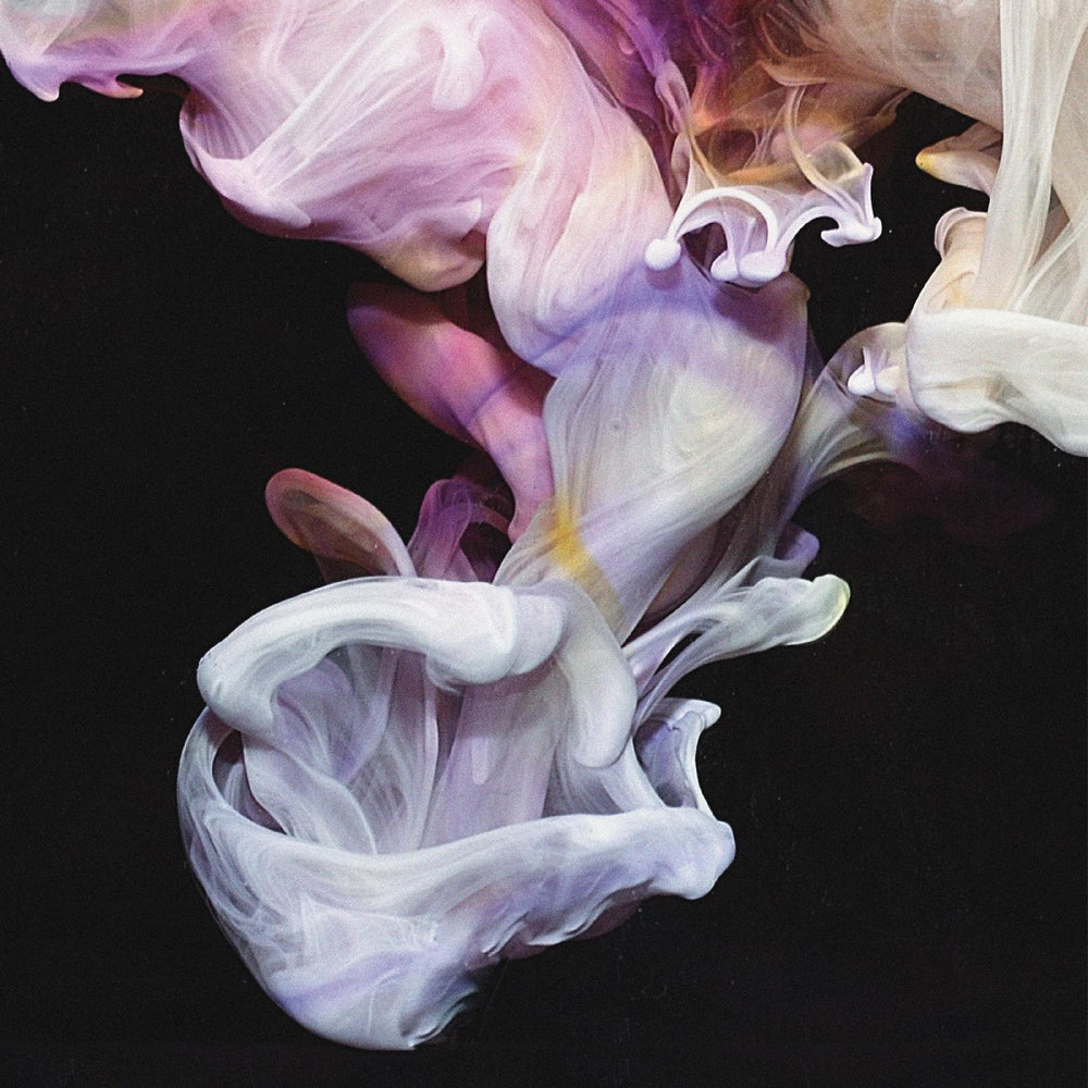 Murmurations [CD] (ONLINE ORDER ONLY)