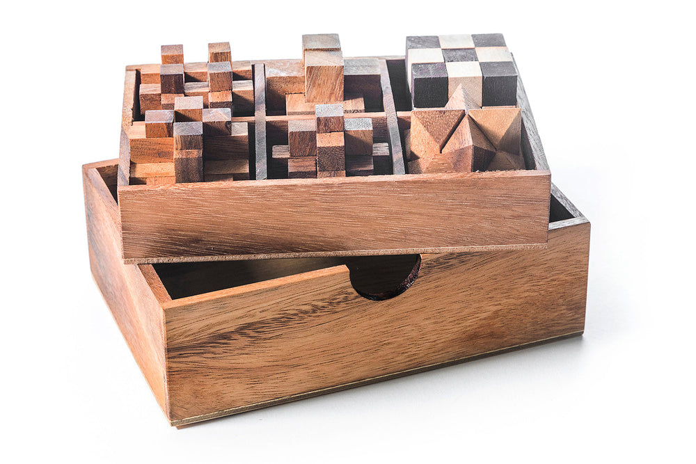 6 STEM Puzzle Gift Set - Wooden Puzzle Brain Teaser (Online Order Only)