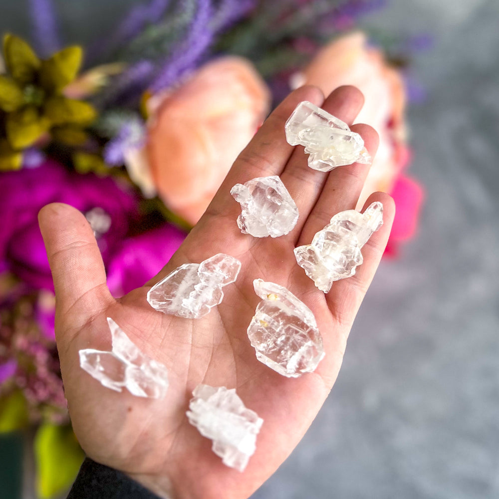 FADEN Tabby Quartz Specimens (ONLINE ORDER ONLY)
