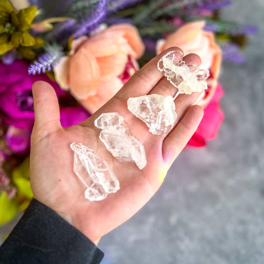 FADEN Tabby Quartz Specimens (ONLINE ORDER ONLY)