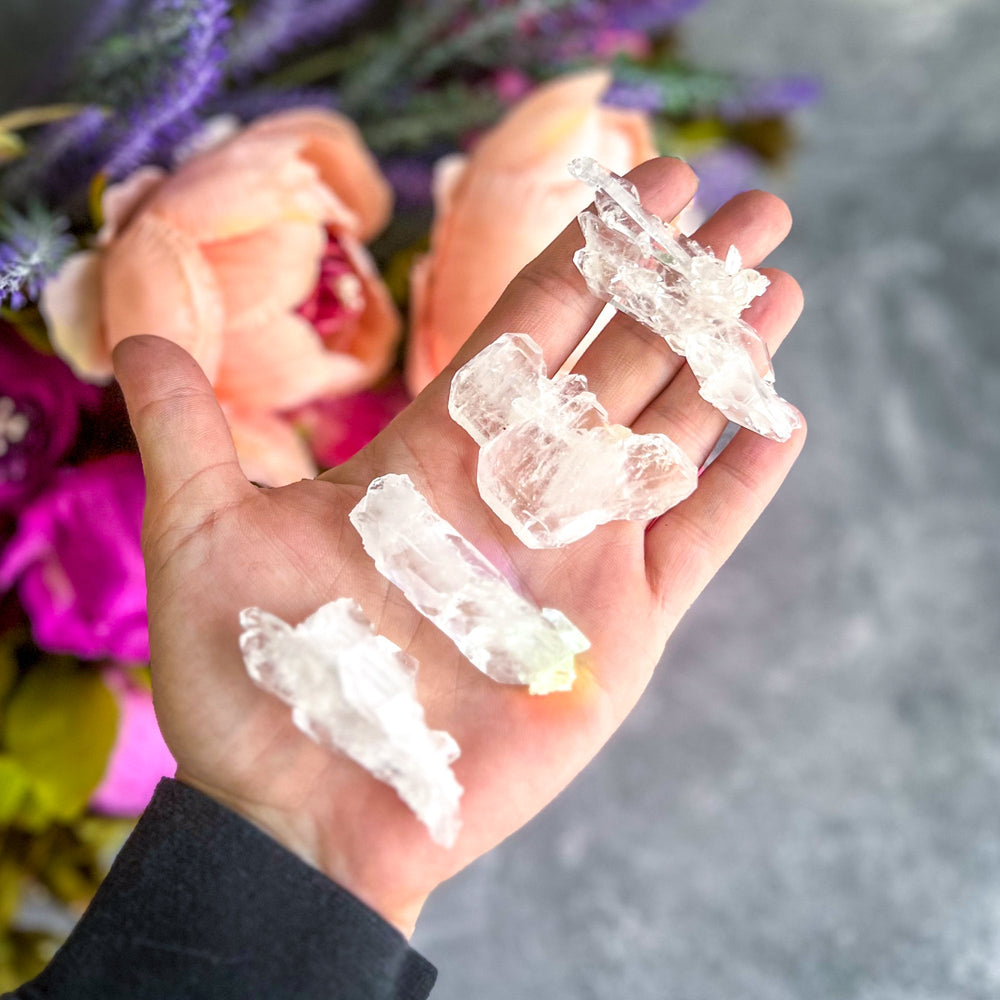 FADEN Tabby Quartz Specimens (ONLINE ORDER ONLY)