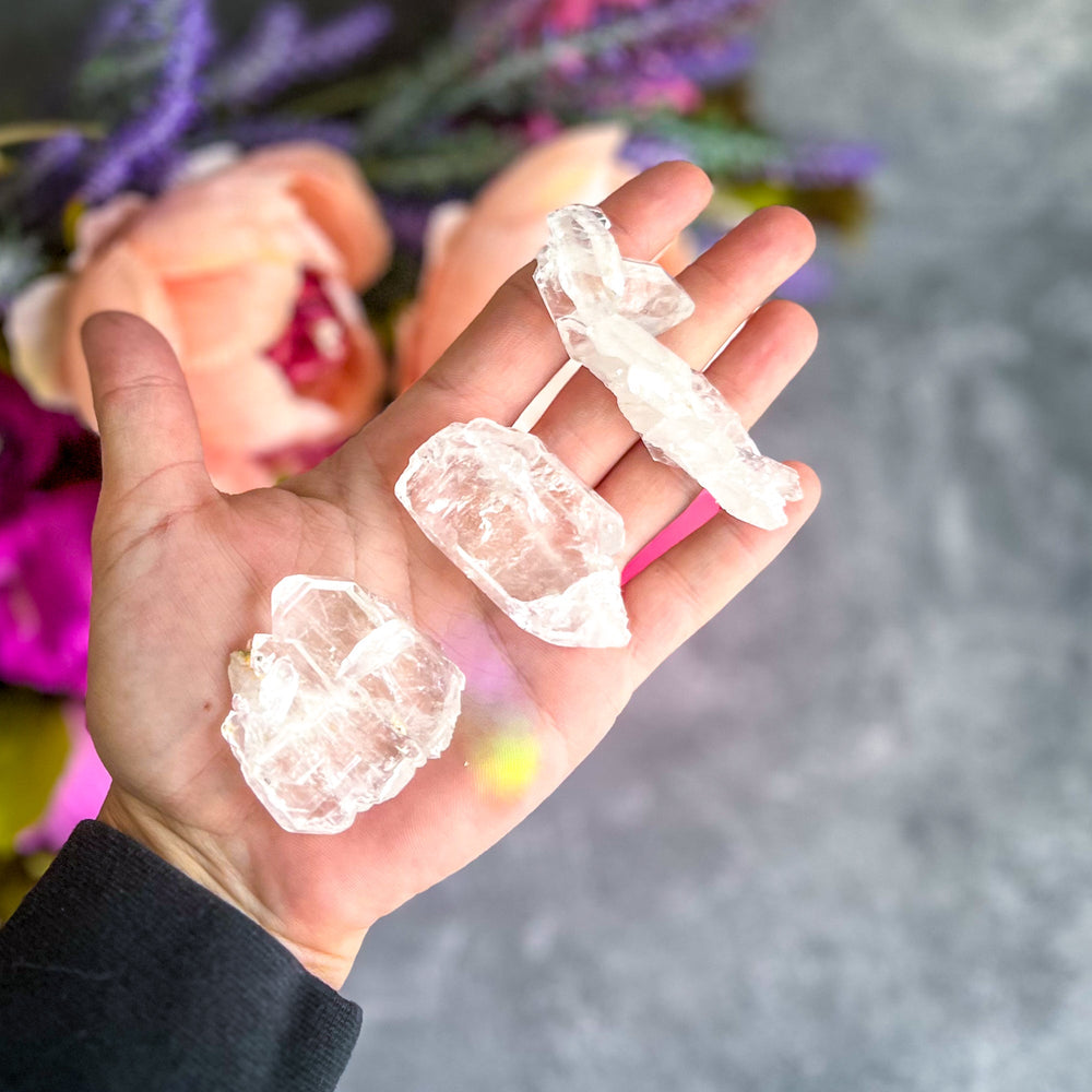 FADEN Tabby Quartz Specimens (ONLINE ORDER ONLY)