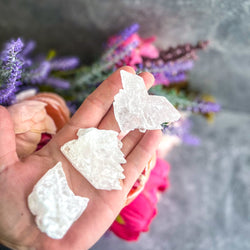 Small Fishtail Selenite Raw Specimens, Ethically Sourced Water Selenite (ONLINE ORDER ONLY)
