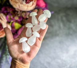 1 3/4" Selenite Mushroom, Crystal Mushrooms (ONLINE ORDER ONLY)