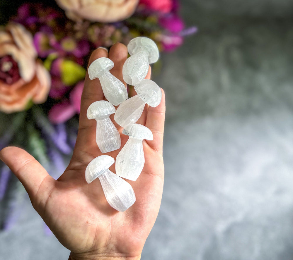 1 3/4" Selenite Mushroom, Crystal Mushrooms (ONLINE ORDER ONLY)
