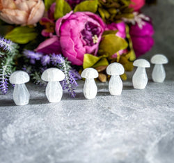 1 3/4" Selenite Mushroom, Crystal Mushrooms (ONLINE ORDER ONLY)