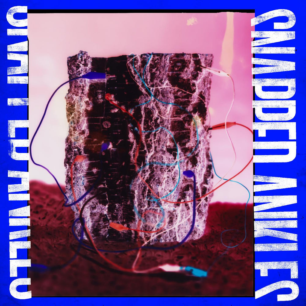Forest Of Your Problems [CD] (ONLINE ORDER ONLY)