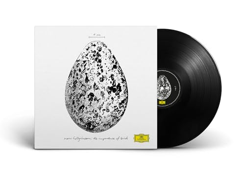 The Importance Of Birds [12" Ep] [Vinyl] (ONLINE ORDER ONLY)