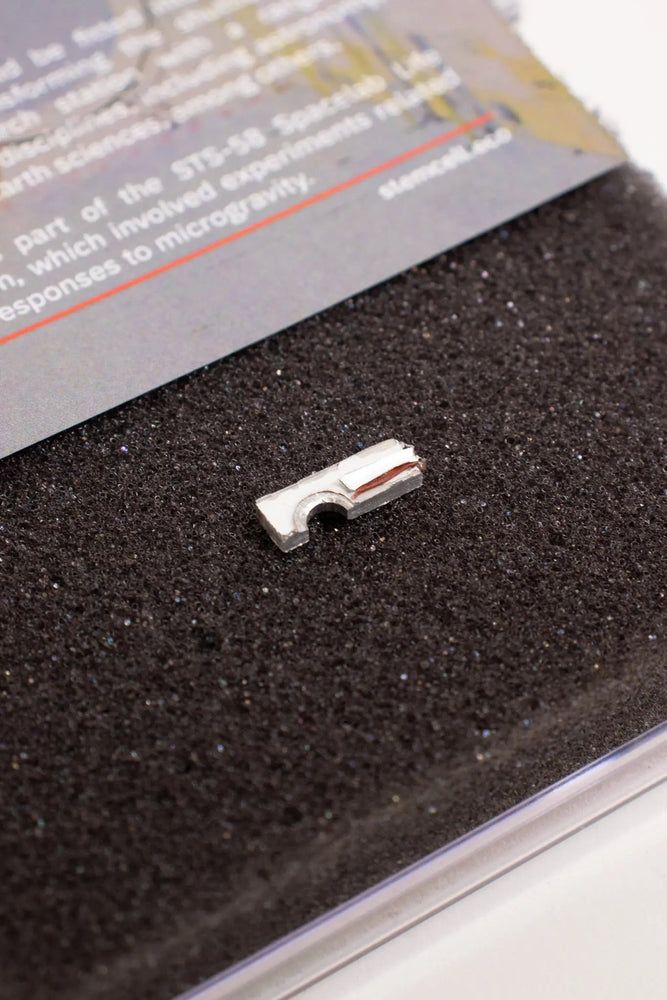 Spacelab Fragment (ONLINE ORDER ONLY)