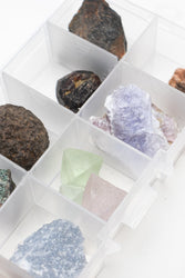 Specimen Collection Box (ONLINE ORDER ONLY)