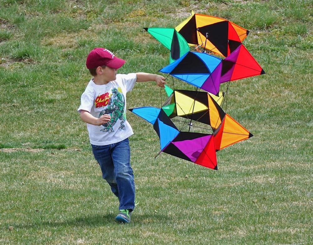 Rotobox cellular kite (ONLINE ORDER ONLY)