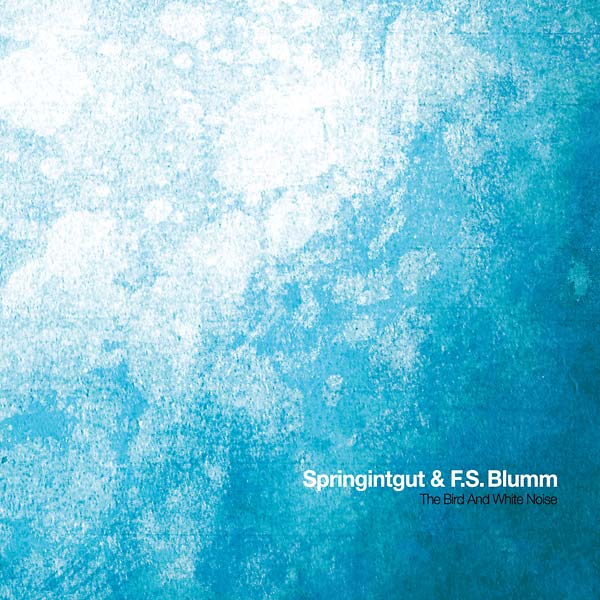 SPRINGINTGUT & F.S. BLUMM - The Bird and White Noise [CD] (ONLINE ORDER ONLY)
