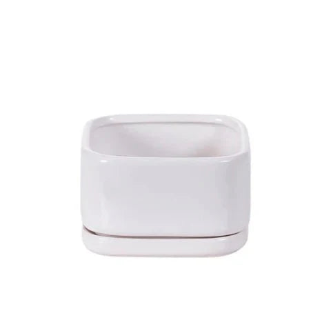 White Ceramic Planter (ONLINE ORDER ONLY)