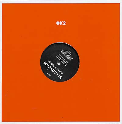 STEADYCAM - Dull In Minor [Vinyl] (ONLINE ORDER ONLY)