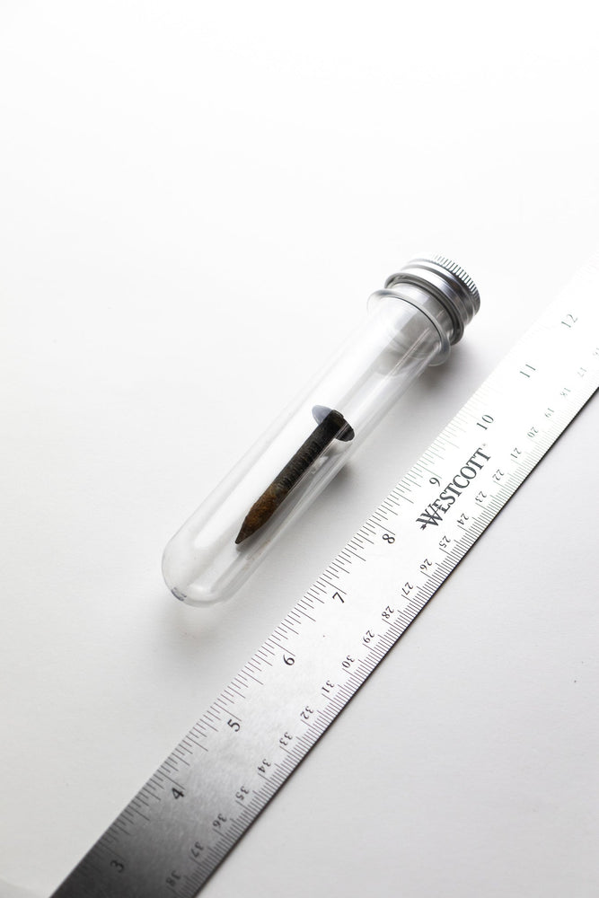 Steel Date Nail (ONLINE ORDER ONLY)