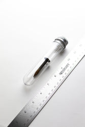 Steel Date Nail (ONLINE ORDER ONLY)