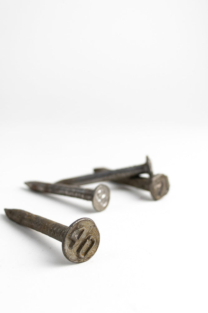Steel Date Nail (ONLINE ORDER ONLY)