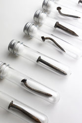 Steel Date Nail (ONLINE ORDER ONLY)