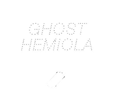 STEFAN GOLDMANN - Ghost Hemiola [Vinyl] (ONLINE ORDER ONLY)