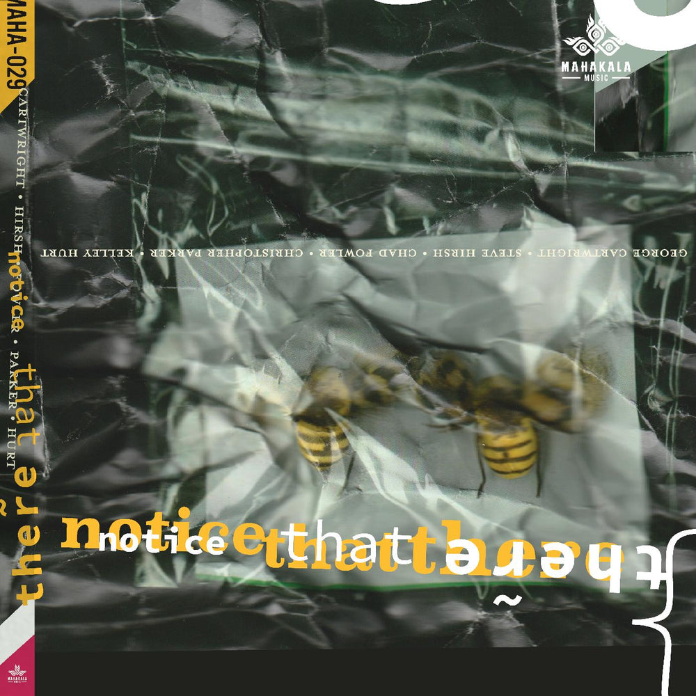 Steve Hirsh George Cartwright - Notice That There [CD] (ONLINE ORDER ONLY)
