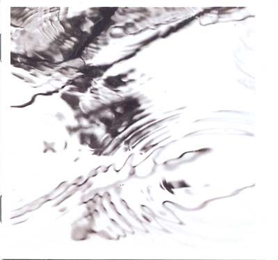 STEVE RODEN & MACHINEFABRIEK - Lichtung [CD] (ONLINE ORDER ONLY)