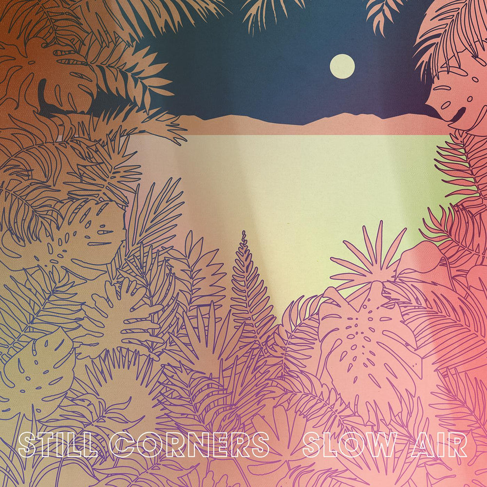 Slow Air [Vinyl] (ONLINE ORDER ONLY)