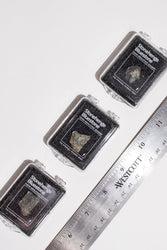 Stonehenge Quarry Fragment (ONLINE ORDER ONLY)