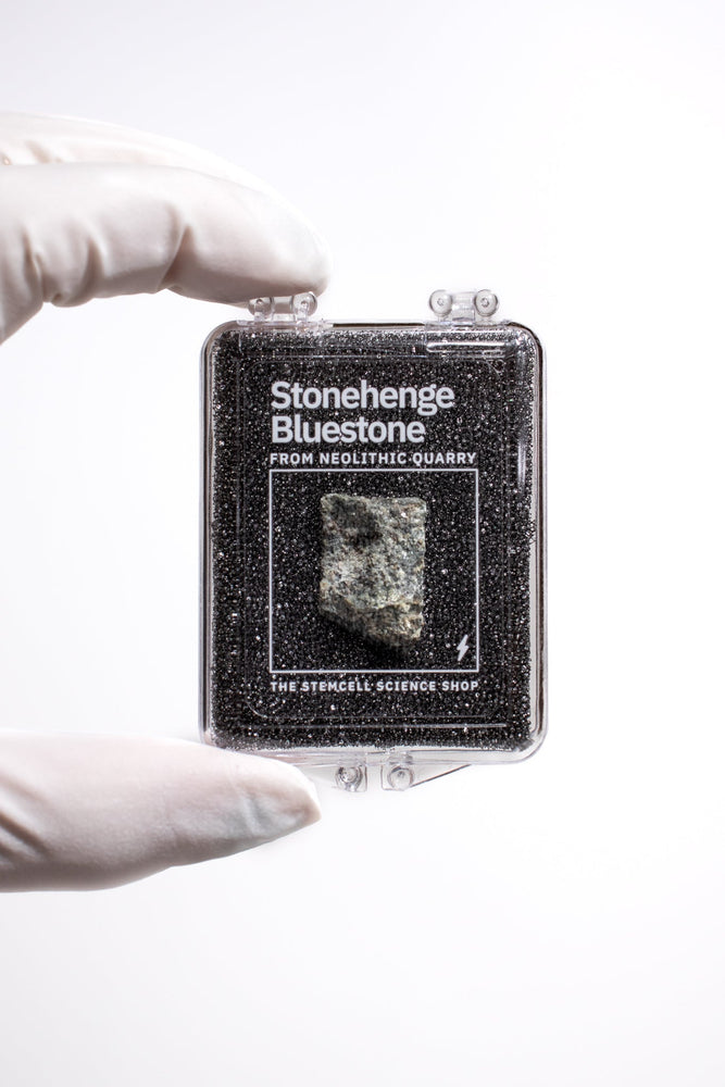 Stonehenge Quarry Fragment (ONLINE ORDER ONLY)