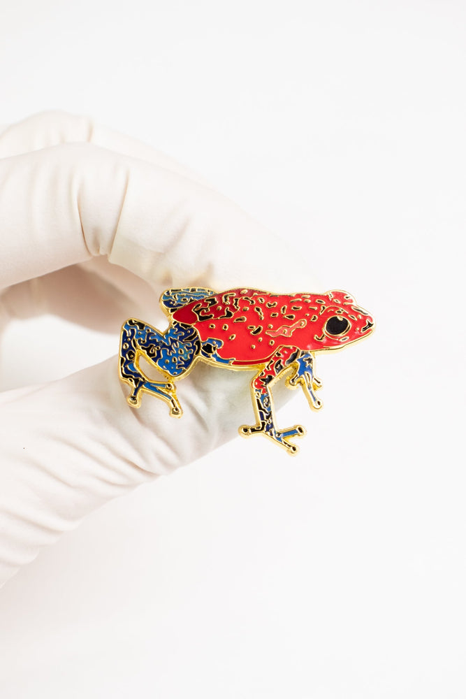 Strawberry Poison Dart Frog Enamel Pin (Dendrobates pumilio) (ONLINE ORDER ONLY)