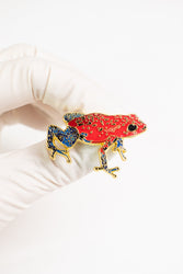 Strawberry Poison Dart Frog Enamel Pin (Dendrobates pumilio) (ONLINE ORDER ONLY)