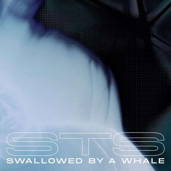 Swallowed By A Whale [Vinyl] (ONLINE ORDER ONLY)