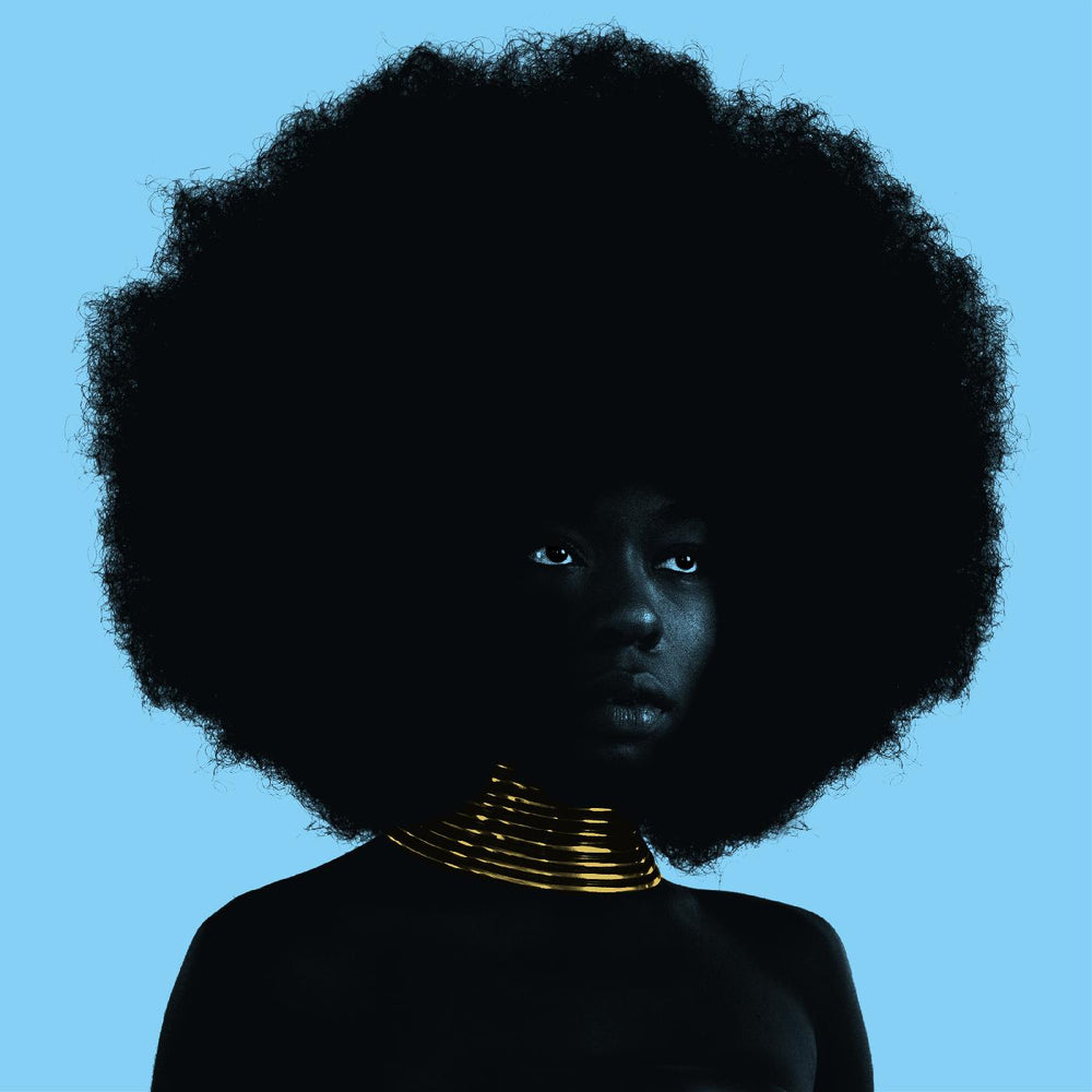 Sink [Vinyl] (ONLINE ORDER ONLY)