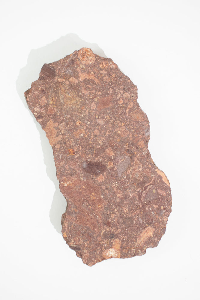 Suevite Fragment (ONLINE ORDER ONLY)