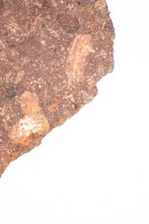 Suevite Fragment (ONLINE ORDER ONLY)