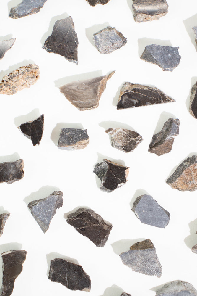 Suevite Fragment (ONLINE ORDER ONLY)