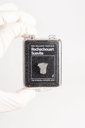 Suevite Fragment (ONLINE ORDER ONLY)