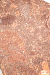 Suevite Fragment (ONLINE ORDER ONLY)