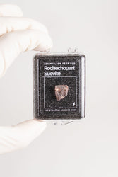 Suevite Fragment (ONLINE ORDER ONLY)