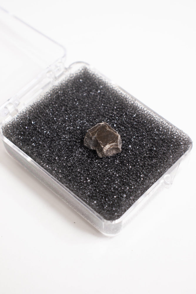 Suevite Fragment (ONLINE ORDER ONLY)