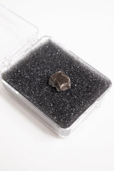 Suevite Fragment (ONLINE ORDER ONLY)