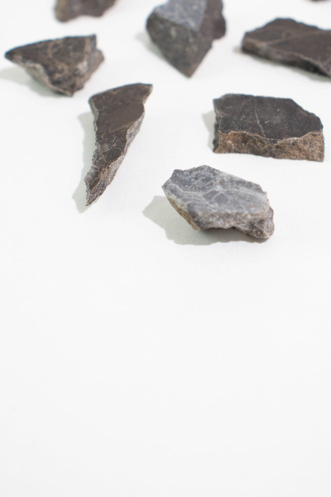 Suevite Fragment (ONLINE ORDER ONLY)