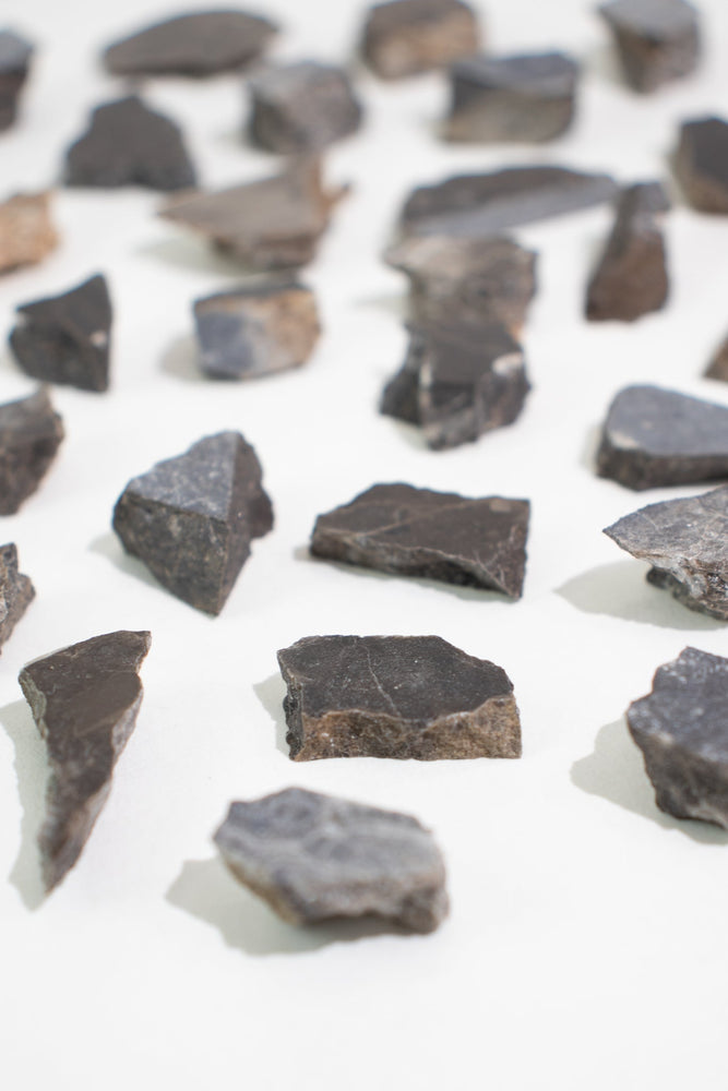 Suevite Fragment (ONLINE ORDER ONLY)
