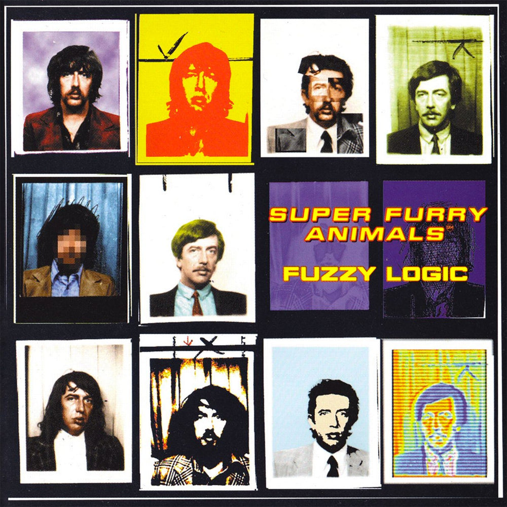 Fuzzy Logic [Vinyl] (ONLINE ORDER ONLY)