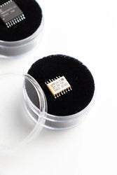 Supercomputer Memory Chip (ONLINE ORDER ONLY)