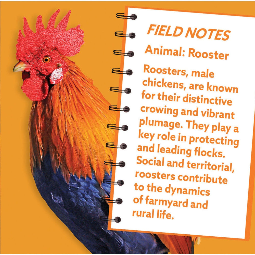 Rooster 100 Piece Shaped Jigsaw Puzzle (ONLINE ORDER ONLY)